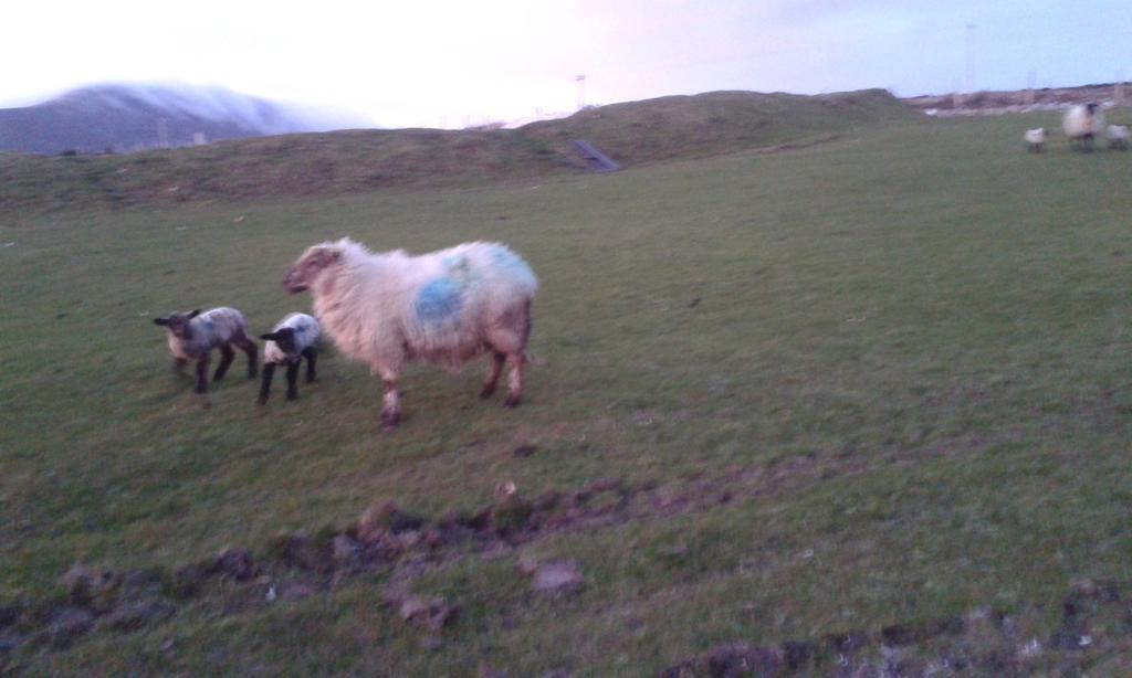 Dooagh Achill West Coast House B&B 외부 사진
