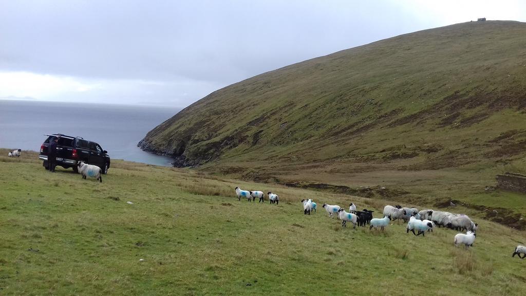 Dooagh Achill West Coast House B&B 외부 사진