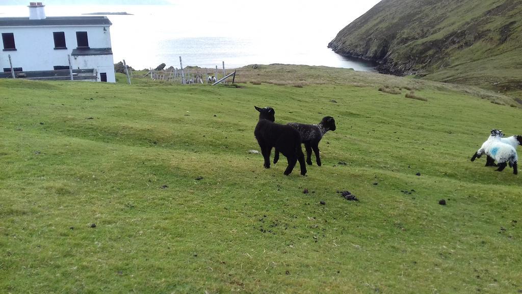 Dooagh Achill West Coast House B&B 외부 사진